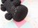 画像10: Bottle Cover Poodle Black L