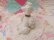 画像6: Spaghetti Poodle S&P Shaker