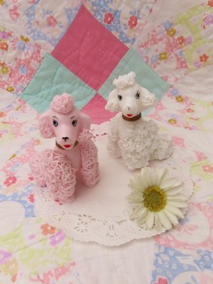 画像1: Spaghetti Poodle S&P Shaker