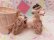 画像4: Spaghetti Poodle Cart Planter