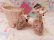 画像2: Spaghetti Poodle Cart Planter