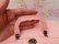 画像14: Poodle Lunch Box Pink