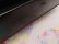 画像10: Ransburg Poodle Tissue Box Black