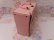 画像3: Poodle Lunch Box Pink