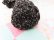 画像8: Bottle Cover Poodle Black×Silver