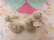 画像5: Twin Spaghetti Poodle White