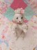画像2: Rose Spaghetti Poodle White 