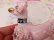 画像9: Spaghetti Poodle Pink Rhinestone