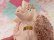 画像7: Big Bow Spaghetti Poodle Pink