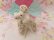 画像4: Twin Spaghetti Poodle White