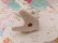 画像9: Rose Spaghetti Poodle White 