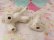 画像11: Twin Spaghetti Poodle White
