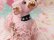 画像8: Spaghetti Poodle Pink Rhinestone
