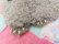 画像8: Rug Poodle Wall Hanging
