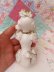 画像5: Rose Spaghetti Poodle White 