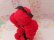 画像7: Bottle Cover Poodle Red