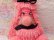 画像7: Bottle Cover Poodle Pink
