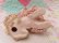 画像6: Big Bow Spaghetti Poodle Pink
