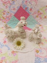Twin Spaghetti Poodle White