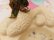 画像9: Poodle Chalk Ashtray　