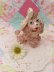 画像1: Big Bow Spaghetti Poodle Pink (1)
