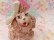 画像5: Big Bow Spaghetti Poodle Pink