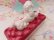 画像3: Sofa Poodle Cigarette Box