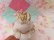画像8: Rose Spaghetti Poodle White 