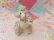 画像8: Twin Spaghetti Poodle White