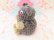 画像5: Bottle Cover Bear Mini