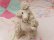画像12: Twin Spaghetti Poodle White