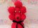 画像6: Bottle Cover Poodle Red