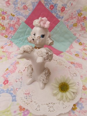 画像1: Rose Spaghetti Poodle White 