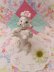 画像1: Rose Spaghetti Poodle White  (1)