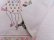 画像5: Waiter Lady Towel