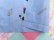 画像7: Poodle Towel Blue Hers
