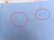 画像7: Poodle Towel Blue His