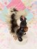 画像3: Message Skunk Figurine