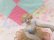 画像7: Old Ballerina Trinket Tray