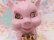画像6: Lefton Piggy Bank 