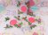 画像6: Plastic Coaster Rose Pink