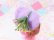 画像9: Betty Bubbles Pink