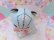 画像8: Star Pattern Kitten Planter
