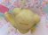 画像6: C,T Baby Bear Coin Bank