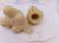 画像8: AVON Fuzzy Bear Bottle