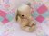画像4: Satin Baby Elephant Plush