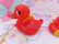 画像4: Pull Toy Red Duck Family