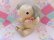 画像5: Satin Baby Elephant Plush