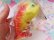 画像6: Fish Water Guns