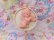 画像4: Angel Rattle Pink